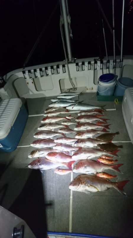 ARCADIAⅡ (アルカディアⅡ) 釣果