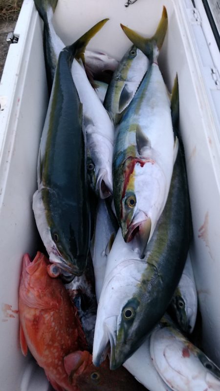 LUSTER『ラスター』 釣果