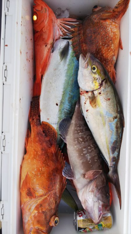 第二龍勢丸 釣果