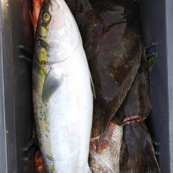 第二龍勢丸 釣果