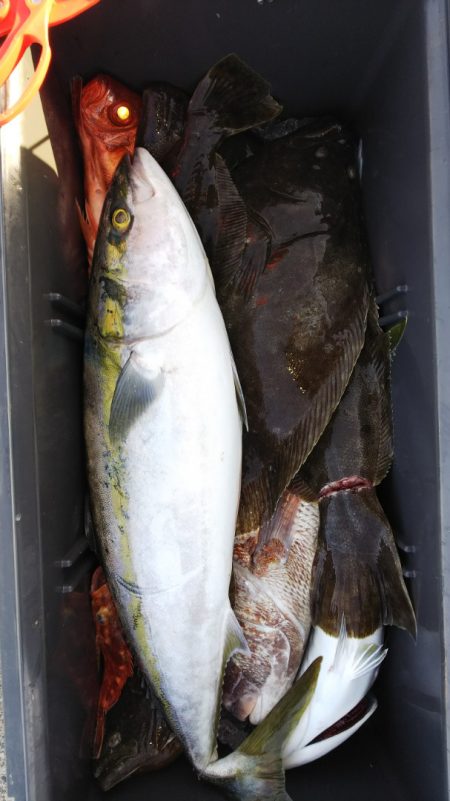 第二龍勢丸 釣果