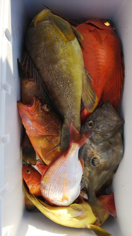 第二龍勢丸 釣果