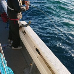 海皇丸 釣果