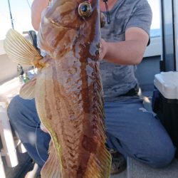 海皇丸 釣果