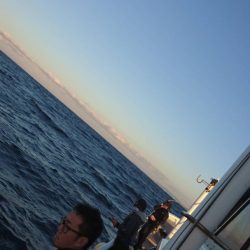 ＴＡＲＯＭＡＲＵ 釣果