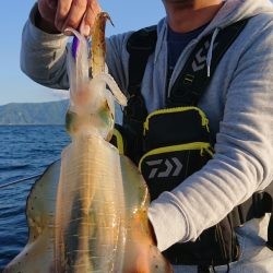 シースナイパー海龍 釣果