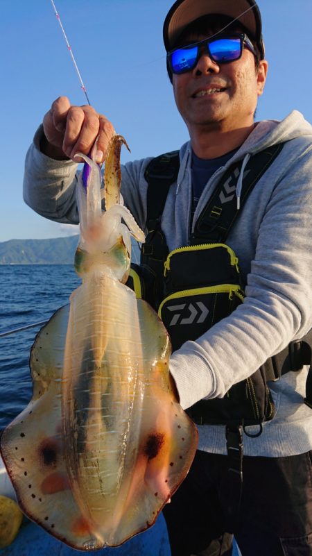 シースナイパー海龍 釣果