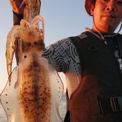 シースナイパー海龍 釣果