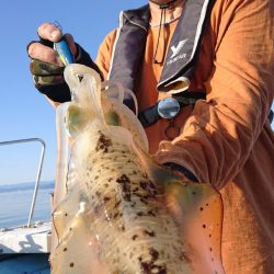 シースナイパー海龍 釣果