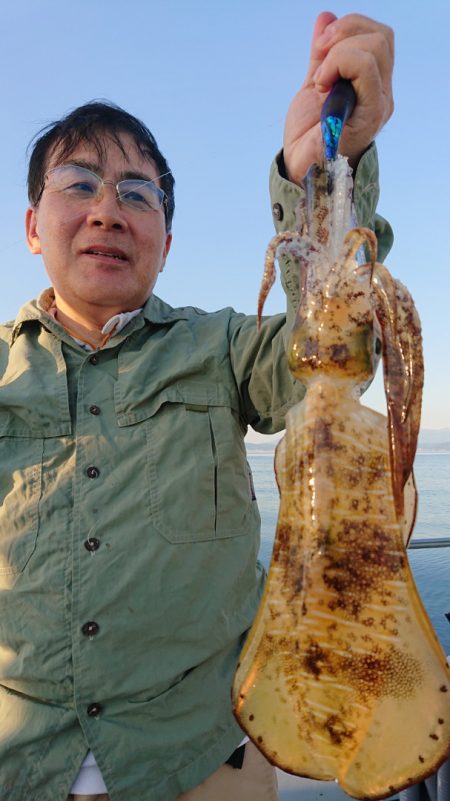 シースナイパー海龍 釣果