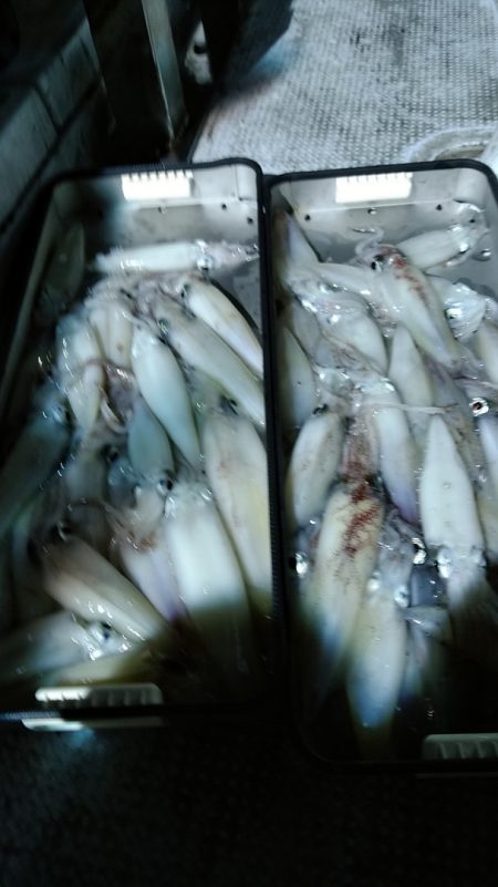 LUSTER『ラスター』 釣果