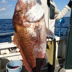 ARCADIAⅡ （アルカディアⅡ） 釣果