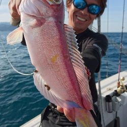 ARCADIAⅡ （アルカディアⅡ） 釣果