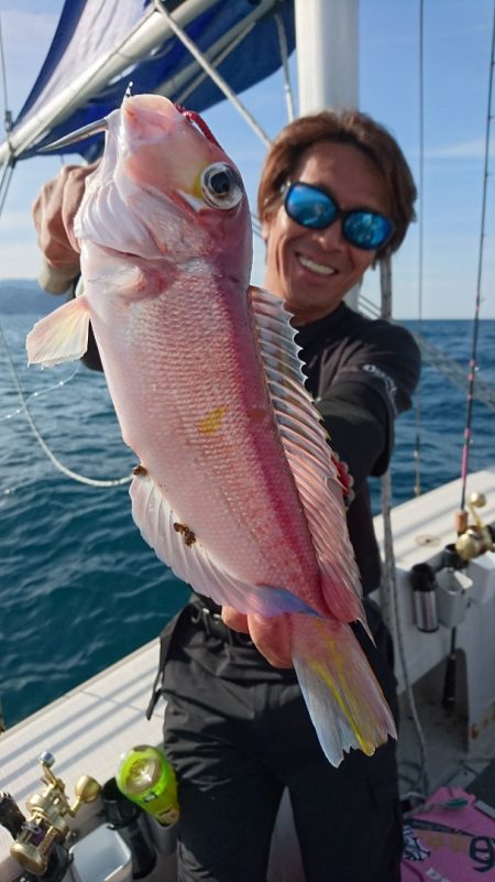 ARCADIAⅡ （アルカディアⅡ） 釣果