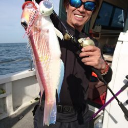 ARCADIAⅡ （アルカディアⅡ） 釣果