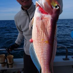 ARCADIAⅡ （アルカディアⅡ） 釣果