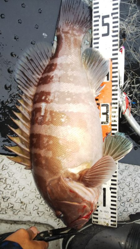 第二龍勢丸 釣果