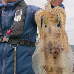 シースナイパー海龍 釣果