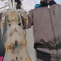 シースナイパー海龍 釣果