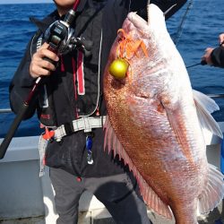 ARCADIAⅡ (アルカディアⅡ) 釣果