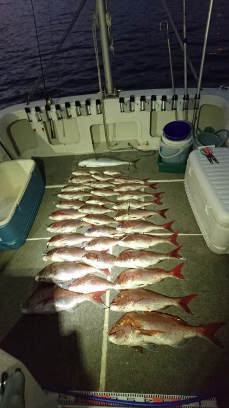 ARCADIAⅡ (アルカディアⅡ) 釣果