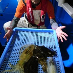 第三共栄丸 釣果