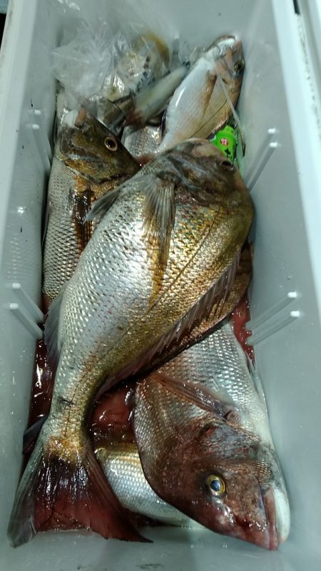 LUSTER『ラスター』 釣果