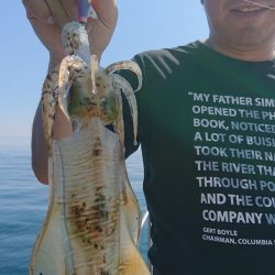 シースナイパー海龍 釣果