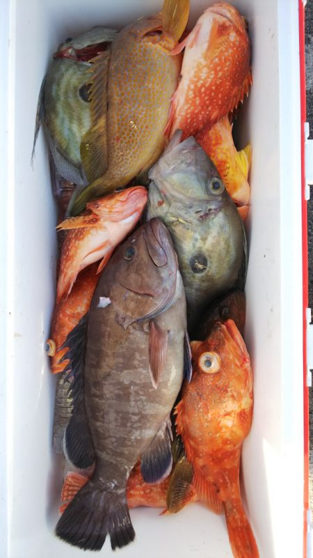 第二龍勢丸 釣果