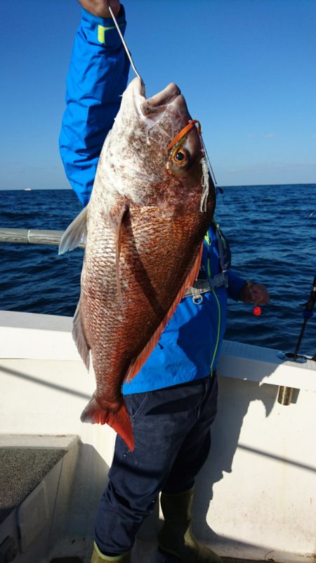 ARCADIAⅡ （アルカディアⅡ） 釣果…