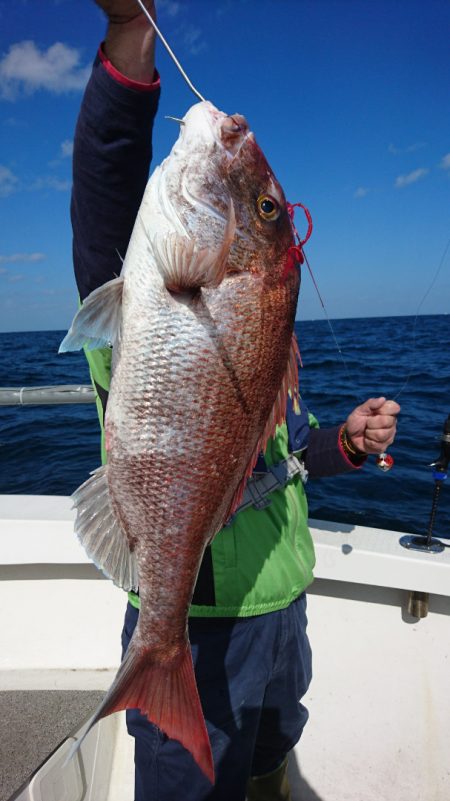 ARCADIAⅡ (アルカディアⅡ) 釣果