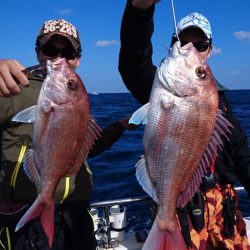 ARCADIAⅡ (アルカディアⅡ) 釣果