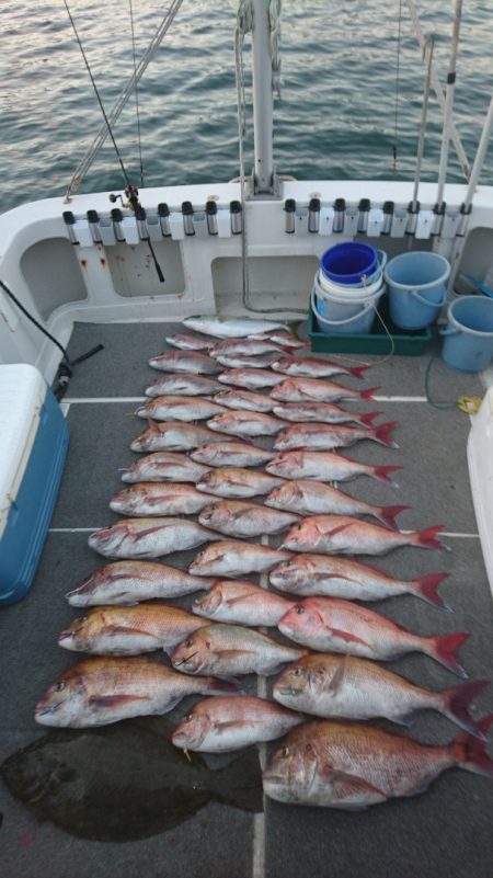 ARCADIAⅡ (アルカディアⅡ) 釣果