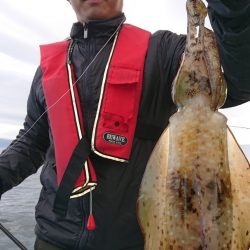 シースナイパー海龍 釣果