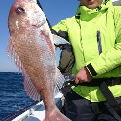 だて丸 釣果