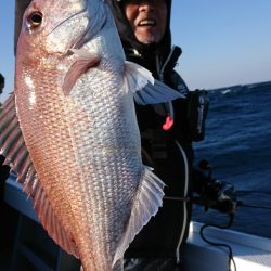 だて丸 釣果