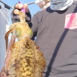 シースナイパー海龍 釣果