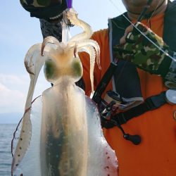 シースナイパー海龍 釣果