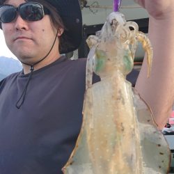 シースナイパー海龍 釣果