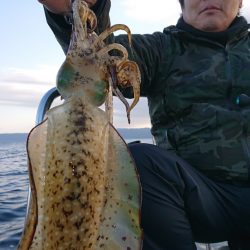 シースナイパー海龍 釣果