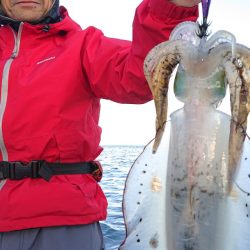 シースナイパー海龍 釣果