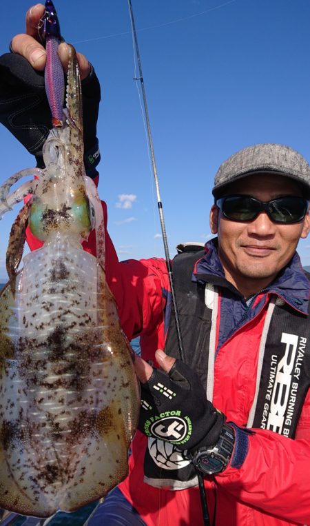 シースナイパー海龍 釣果