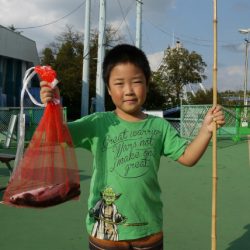 としまえんフィッシングエリア 釣果