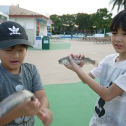 としまえんフィッシングエリア 釣果