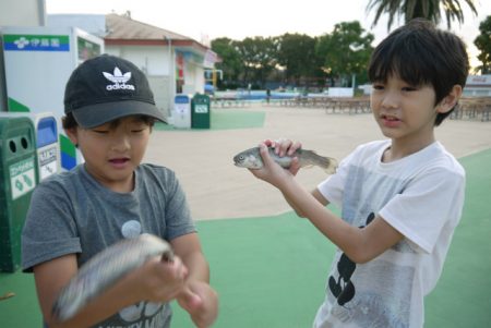 としまえんフィッシングエリア 釣果