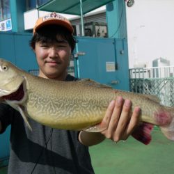 としまえんフィッシングエリア 釣果