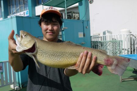 としまえんフィッシングエリア 釣果