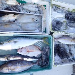 水天丸 釣果