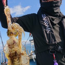 シースナイパー海龍 釣果