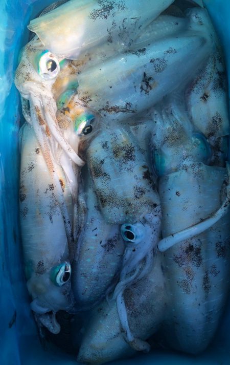 あみや渡船 JIGBOY 釣果